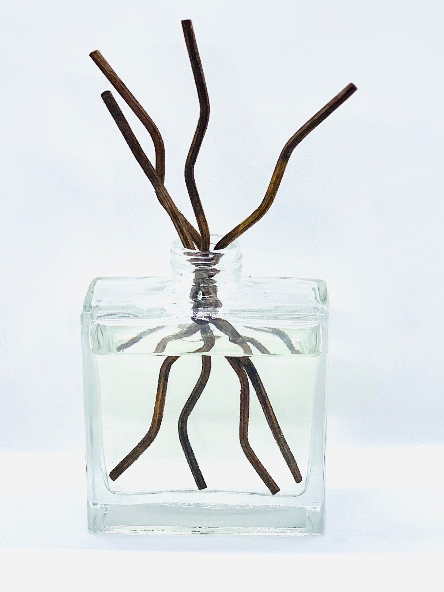 Reed Diffuser-4